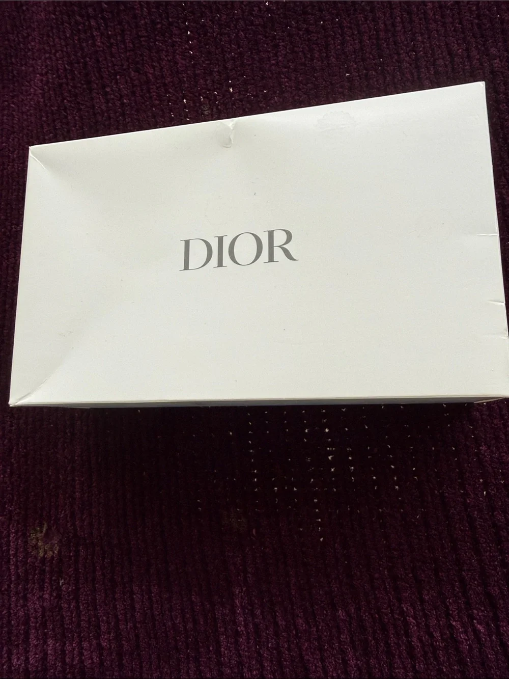 DIOR makeup bag